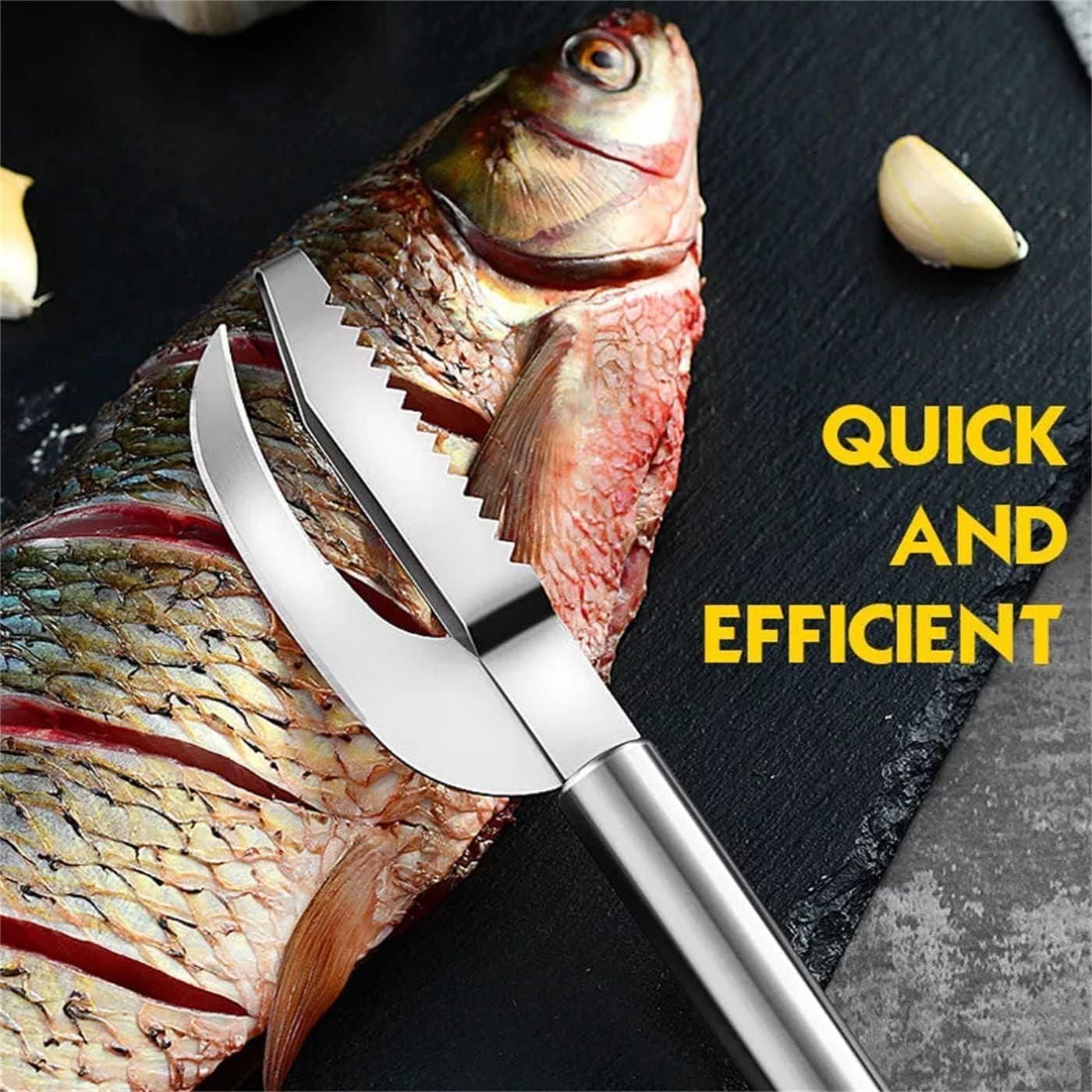 Stainless Steel 3 in 1 Fish Maw Knife - Catalyst Mart
