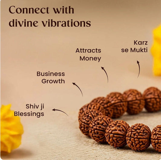 7 Mukhi Rudraksha Bracelet – Attract Prosperity, Peace & Shiv Ji’s Blessings - Catalyst Mart