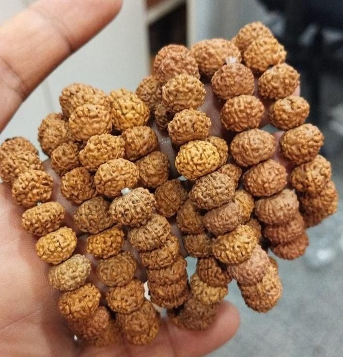 7 Mukhi Rudraksha Bracelet – Attract Prosperity, Peace & Shiv Ji’s Blessings - Catalyst Mart