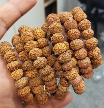 7 Mukhi Rudraksha Bracelet – Attract Prosperity, Peace & Shiv Ji’s Blessings - Catalyst Mart
