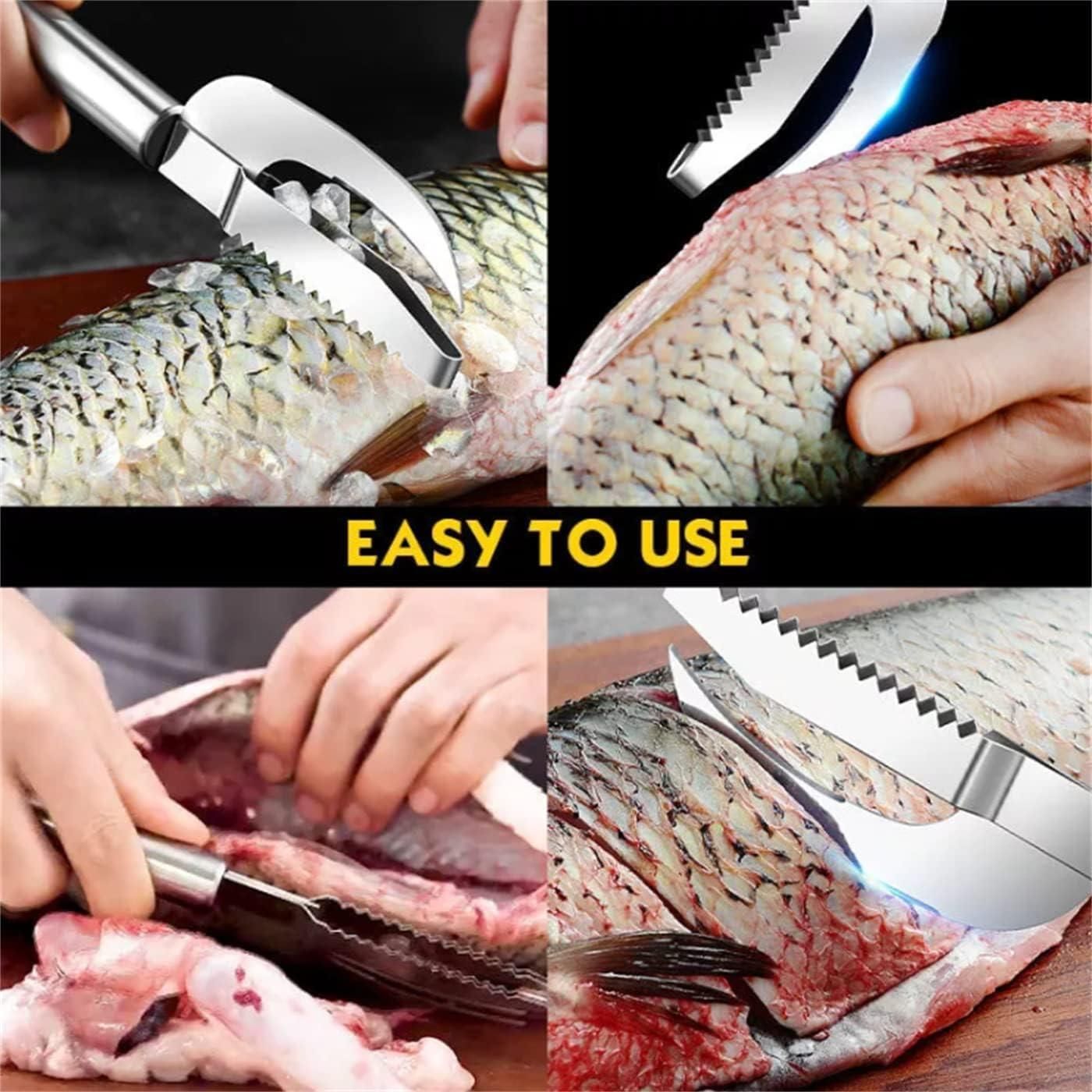 Stainless Steel 3 in 1 Fish Maw Knife - Catalyst Mart