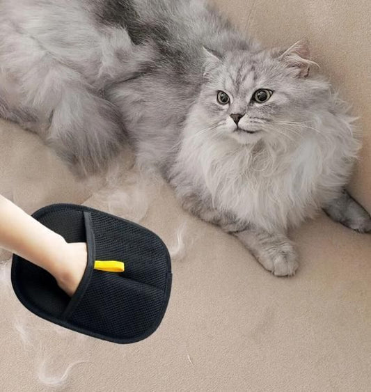 Pet Hair Removal Gloves - Catalyst Mart