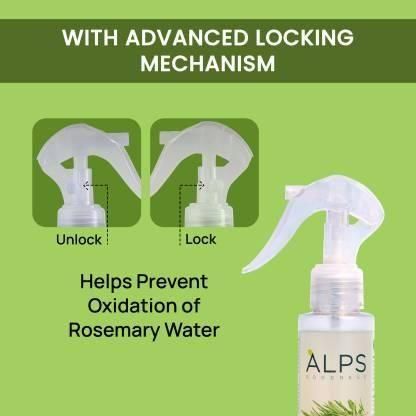 Rosemary Water, Hair Spray For Regrowth (Pack of 3) - Catalyst Mart