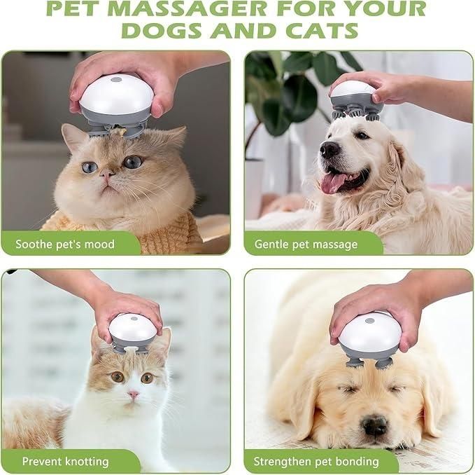 Electric Pet, Cat Massager - Catalyst Mart